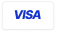VISA payment card logo.